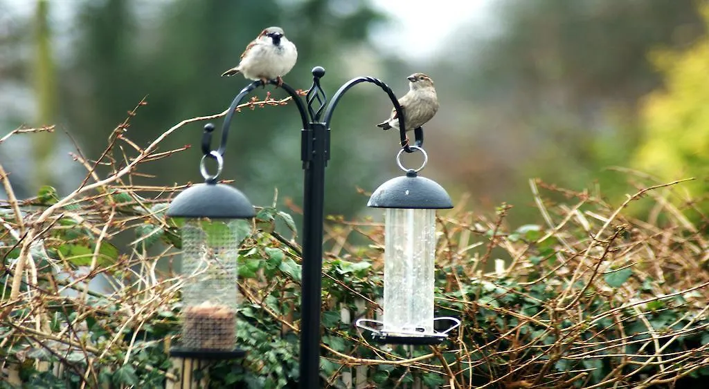 Eske Bed & Breakfast