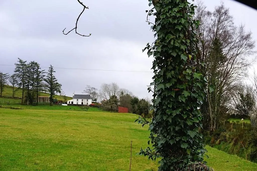 Meenadreen Holiday home *