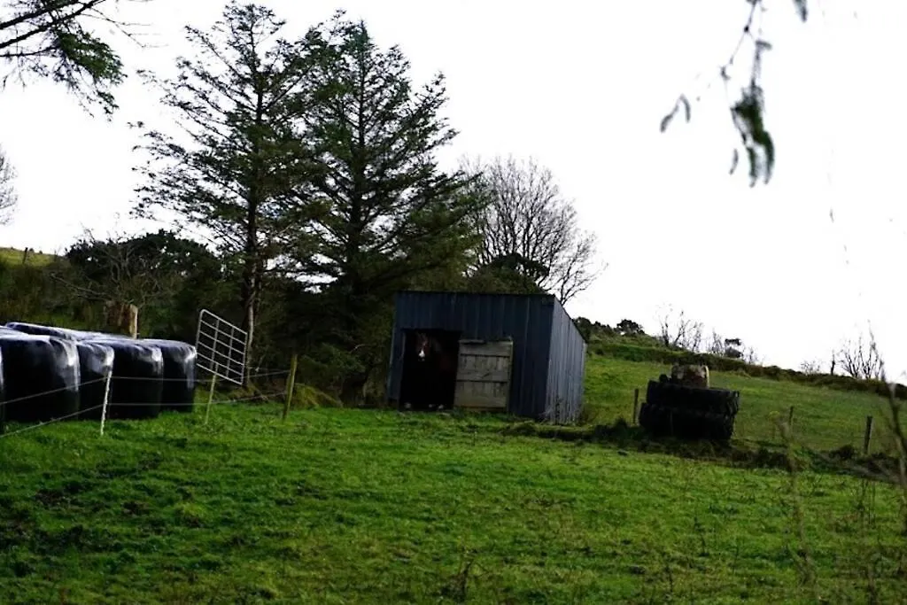 Meenadreen Holiday home
