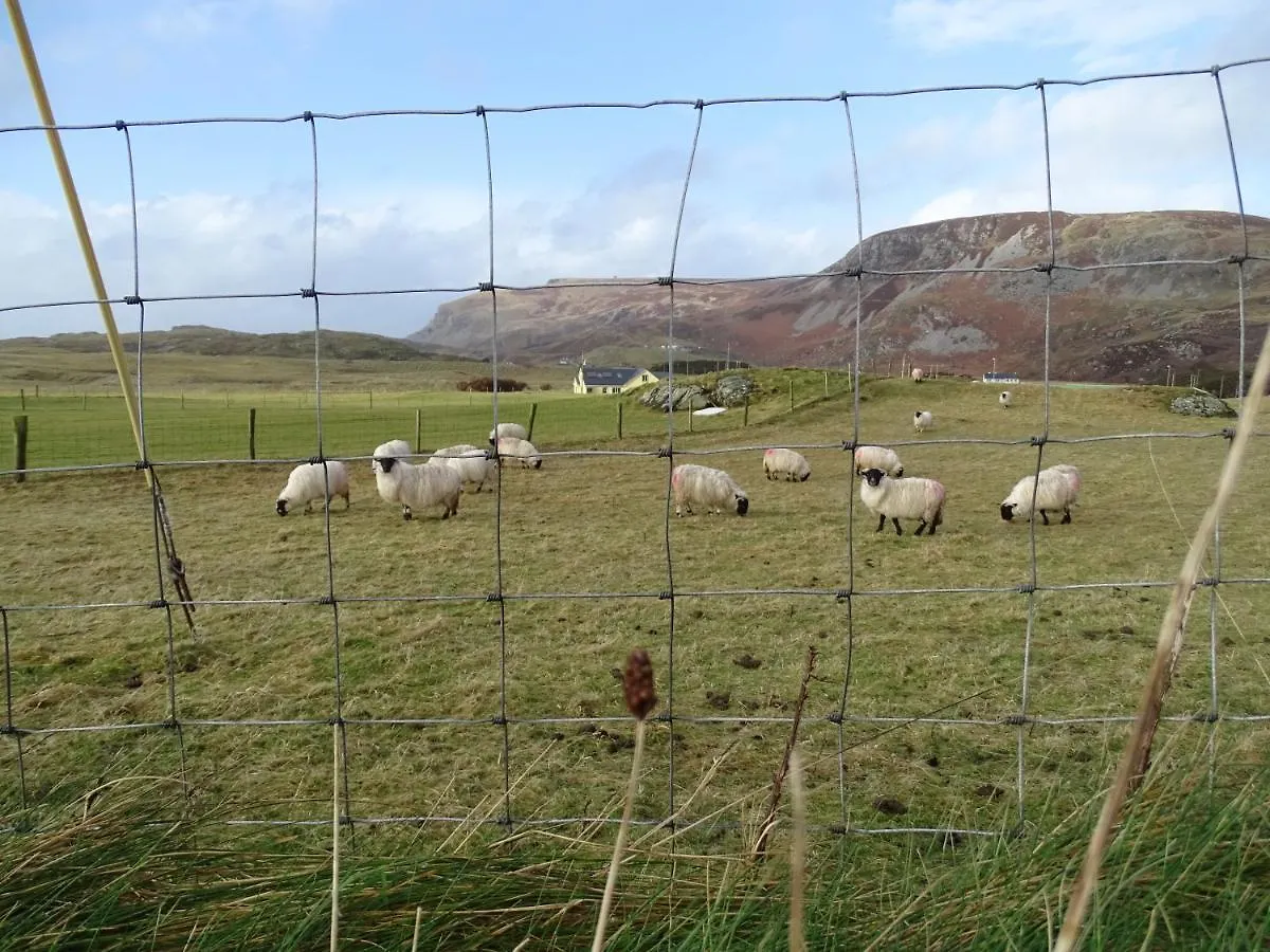 Heather House On The Wild Atlantic Way 招待所 多尼戈尔