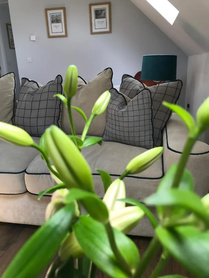 The Bed In A Shed Apartment