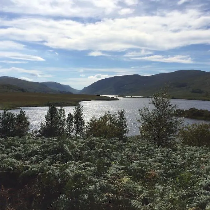 Bluestack View *