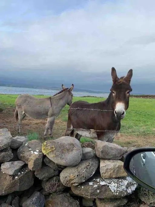 Holiday home Bumblebee Donegal Town