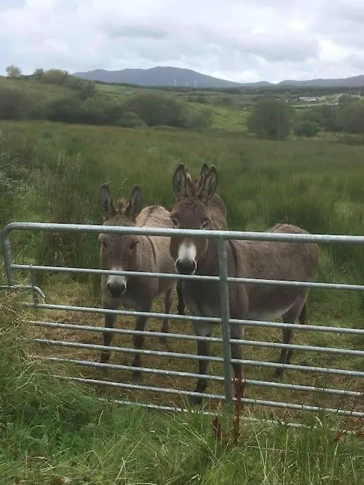 Holiday home Bumblebee Donegal Town