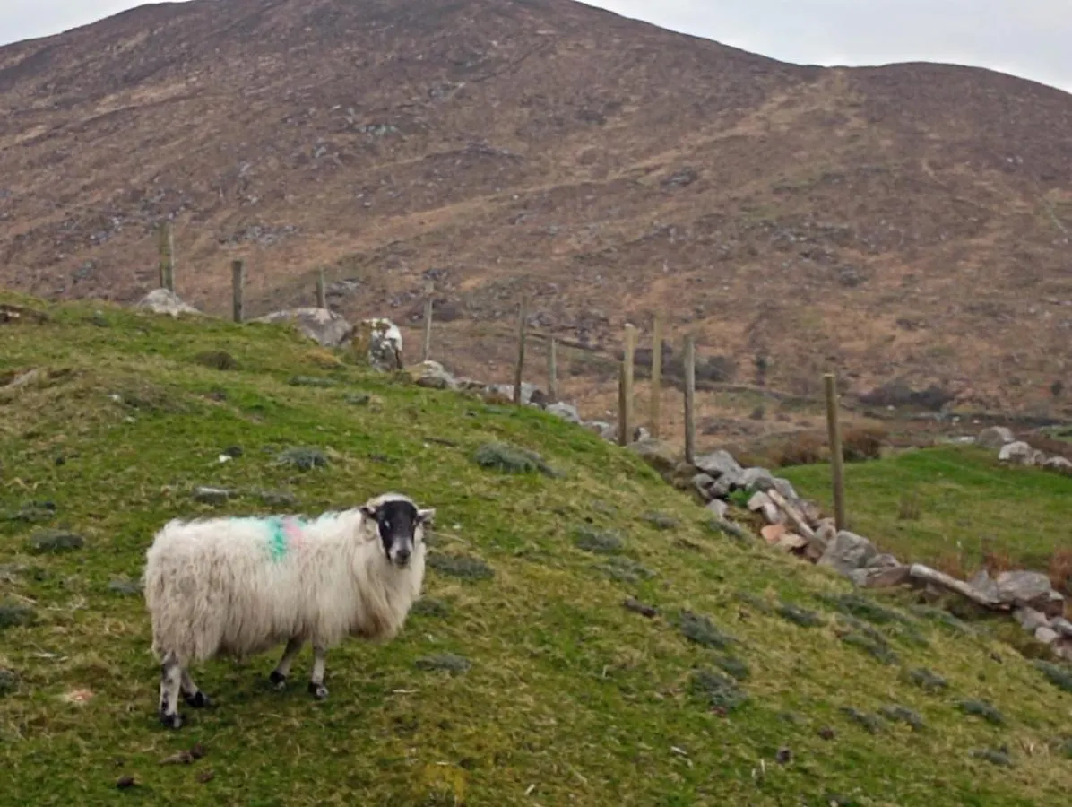 Donegal Holiday home *