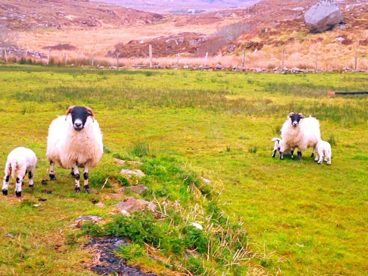 Holiday home Donegal Donegal Town