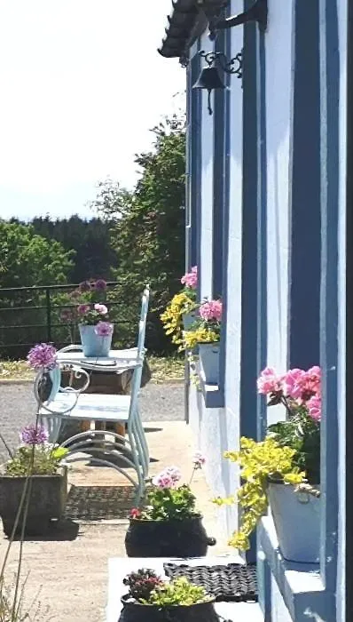 New Listing - Ladybird - Donegal - Wild Atlantic Way Holiday home