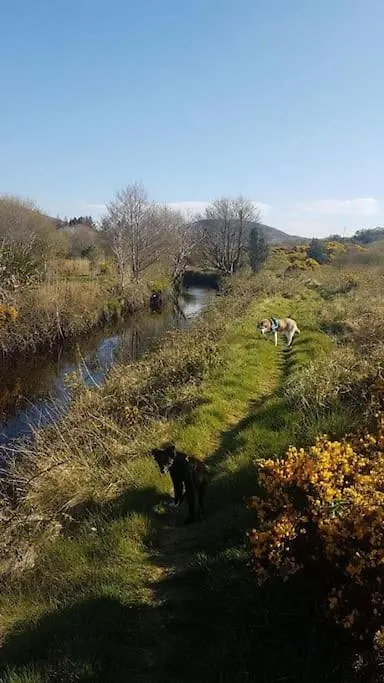 Spacious In Meenaleck Near Gweedore County Donegal Holiday home