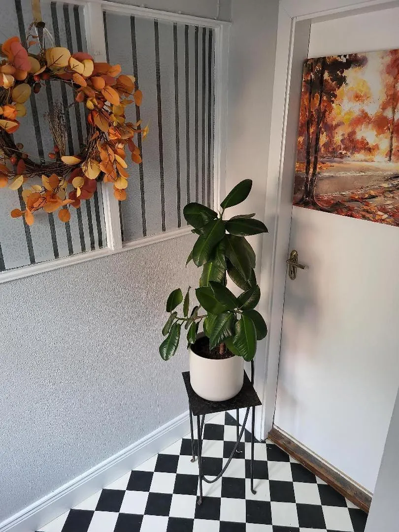 Apartment The On The Diamond *