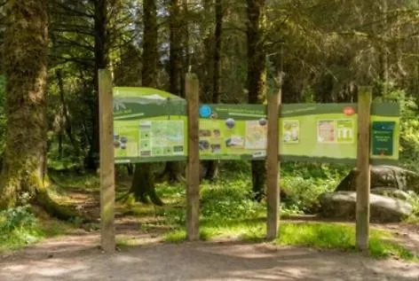 Innis Breeze - Between Murvagh & Rossnowlagh Beaches *