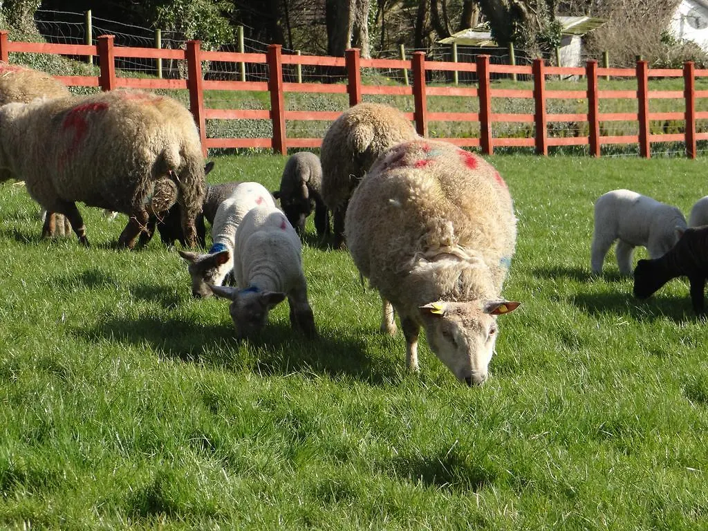 Rossmore Farmhouse Bed & Breakfast
