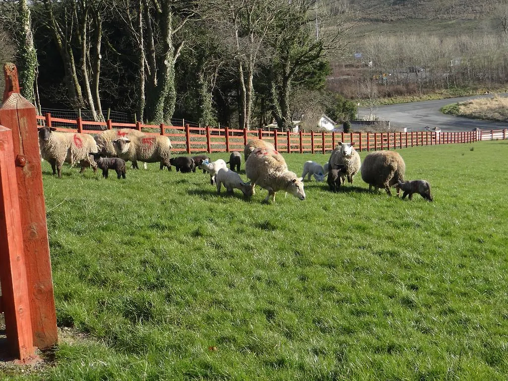 Bed & Breakfast Rossmore Farmhouse