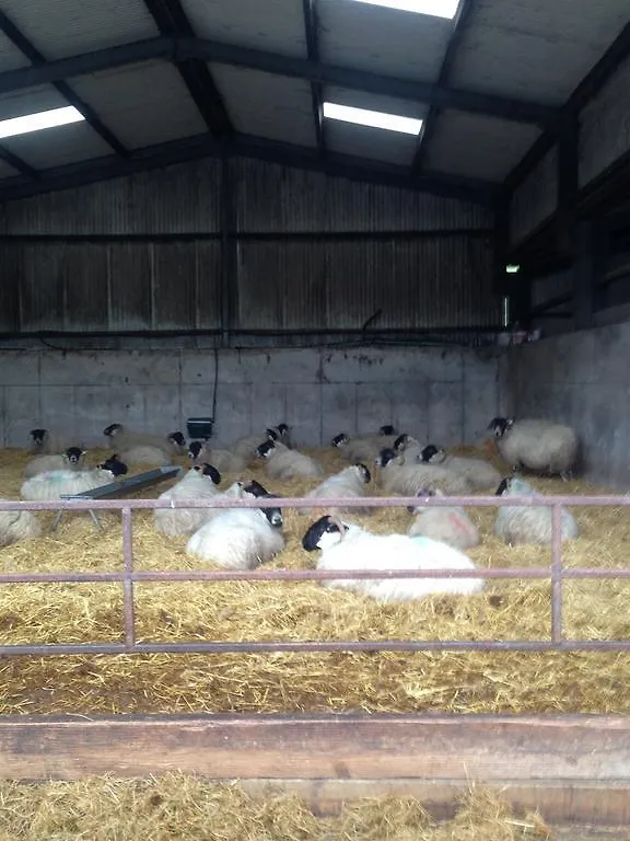 Bed & Breakfast Rossmore Farmhouse