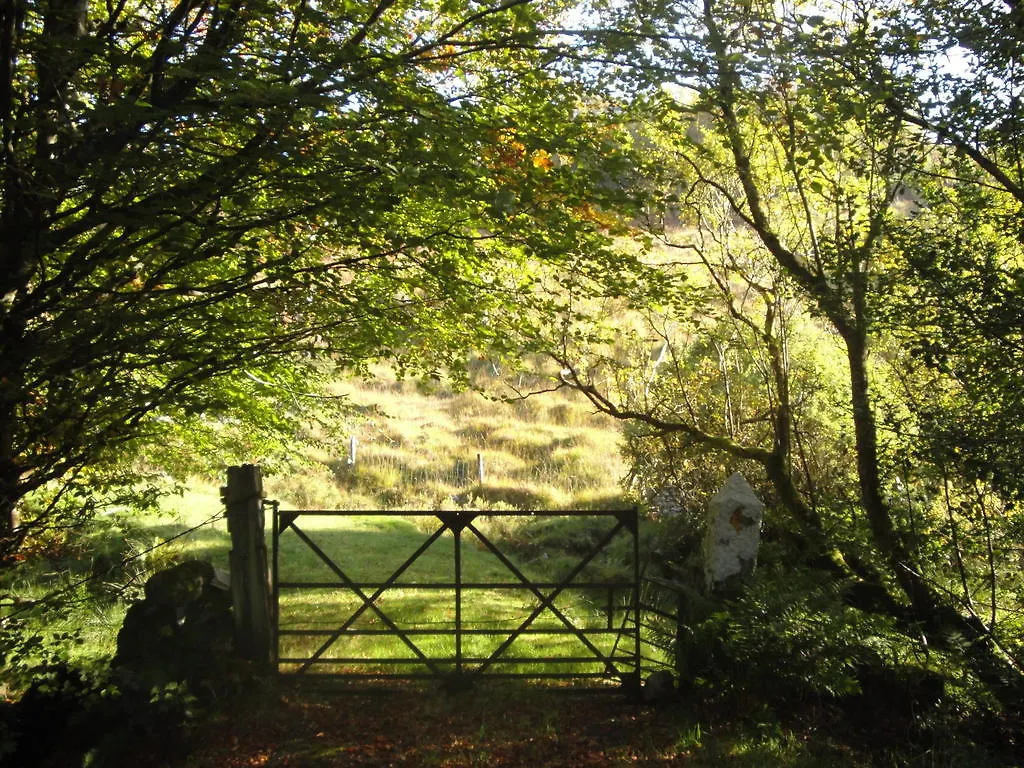 Bed & Breakfast The Gap 3*
